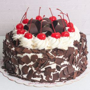 bakers plaza cake|Graceland Baker's Plaza .
